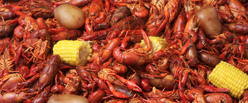 Crawfish Catering Houston